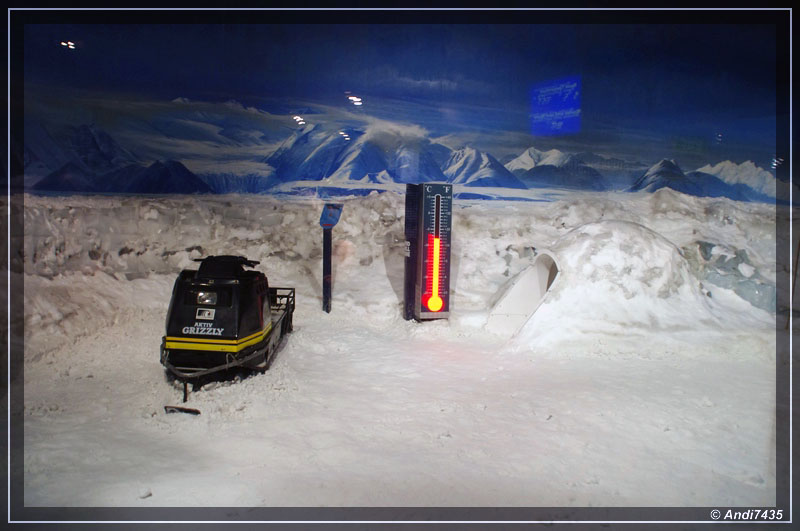 International Antarctic Centre