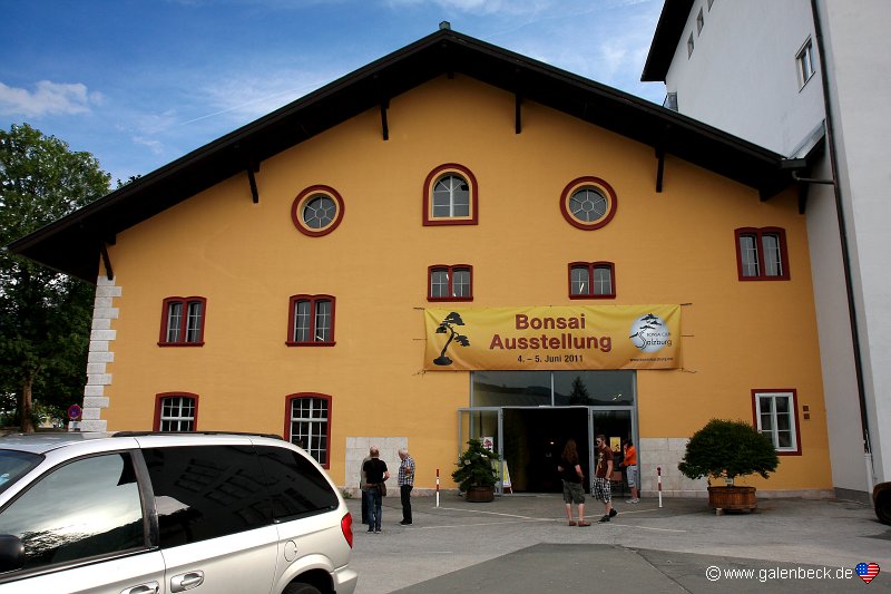 Österreichische Bonsai Nationalausstellung 2011