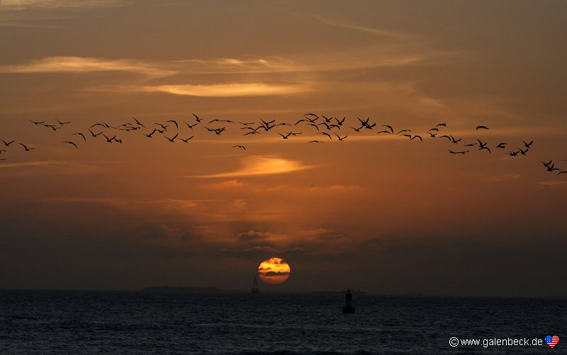 Sonnenuntergang Key West