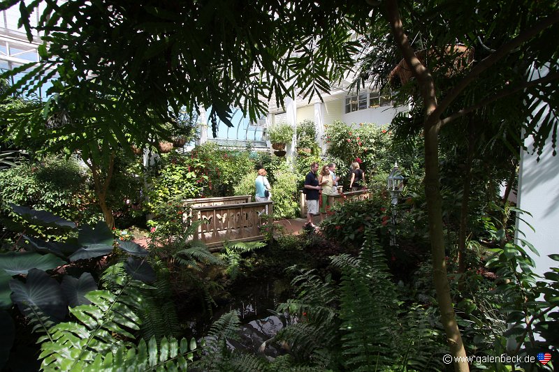Key West Butterfly And Nature Conservatory