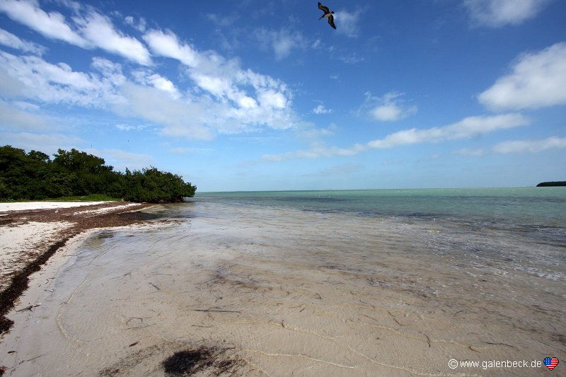 Florida Keys National Wildlife Refuges