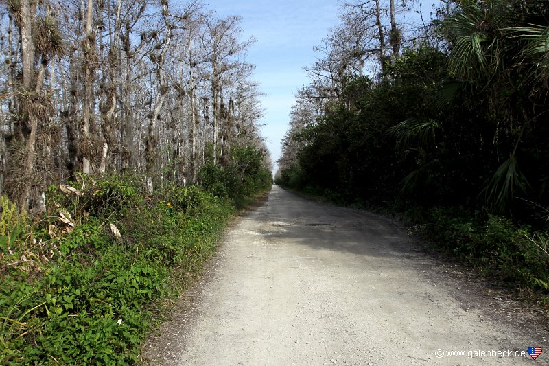 Big Cypress National Preserve Loop Road