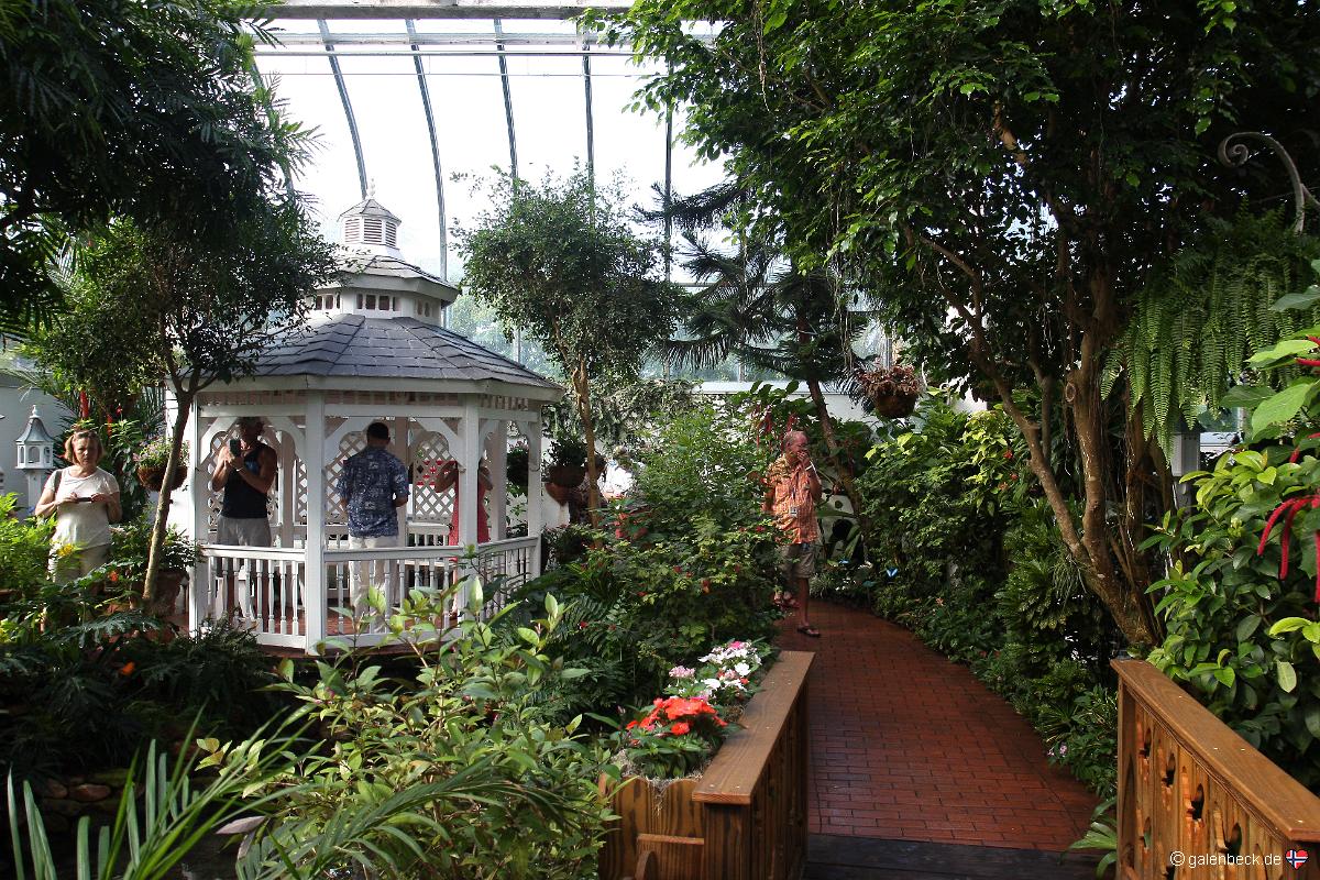 Key West Butterfly and Nature Conservatory