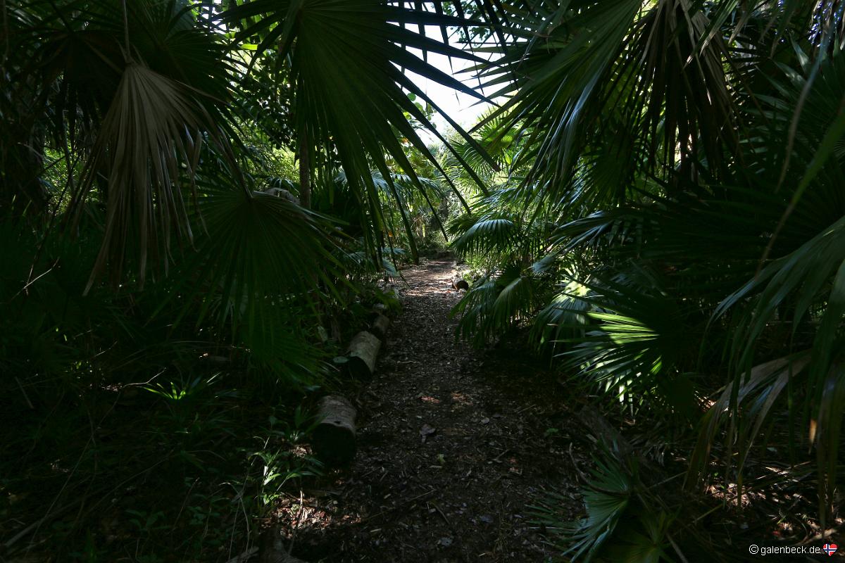 Key West Botanical Garden