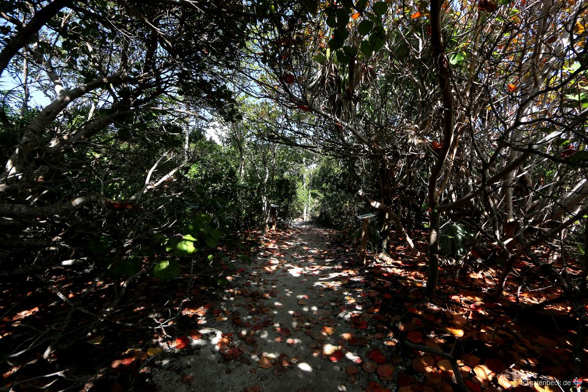 Bahia Honda State Park