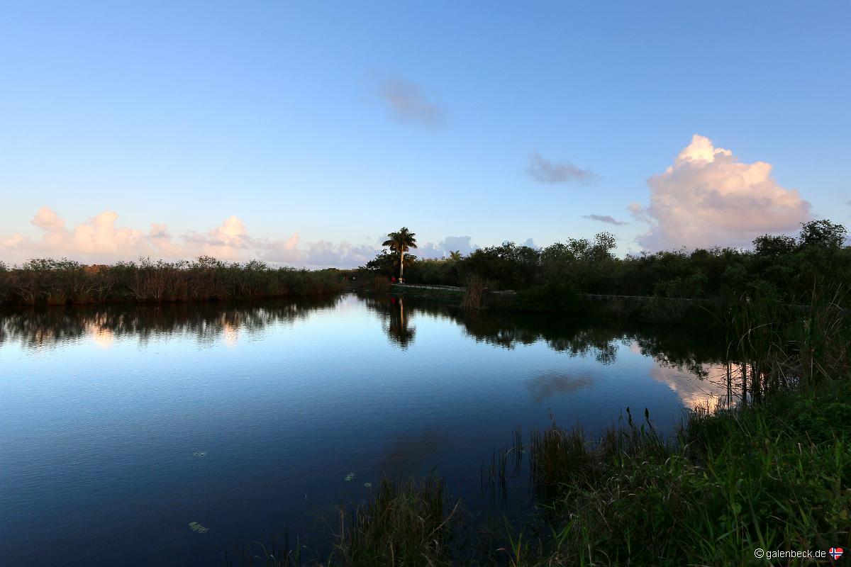 Anhinga Trail