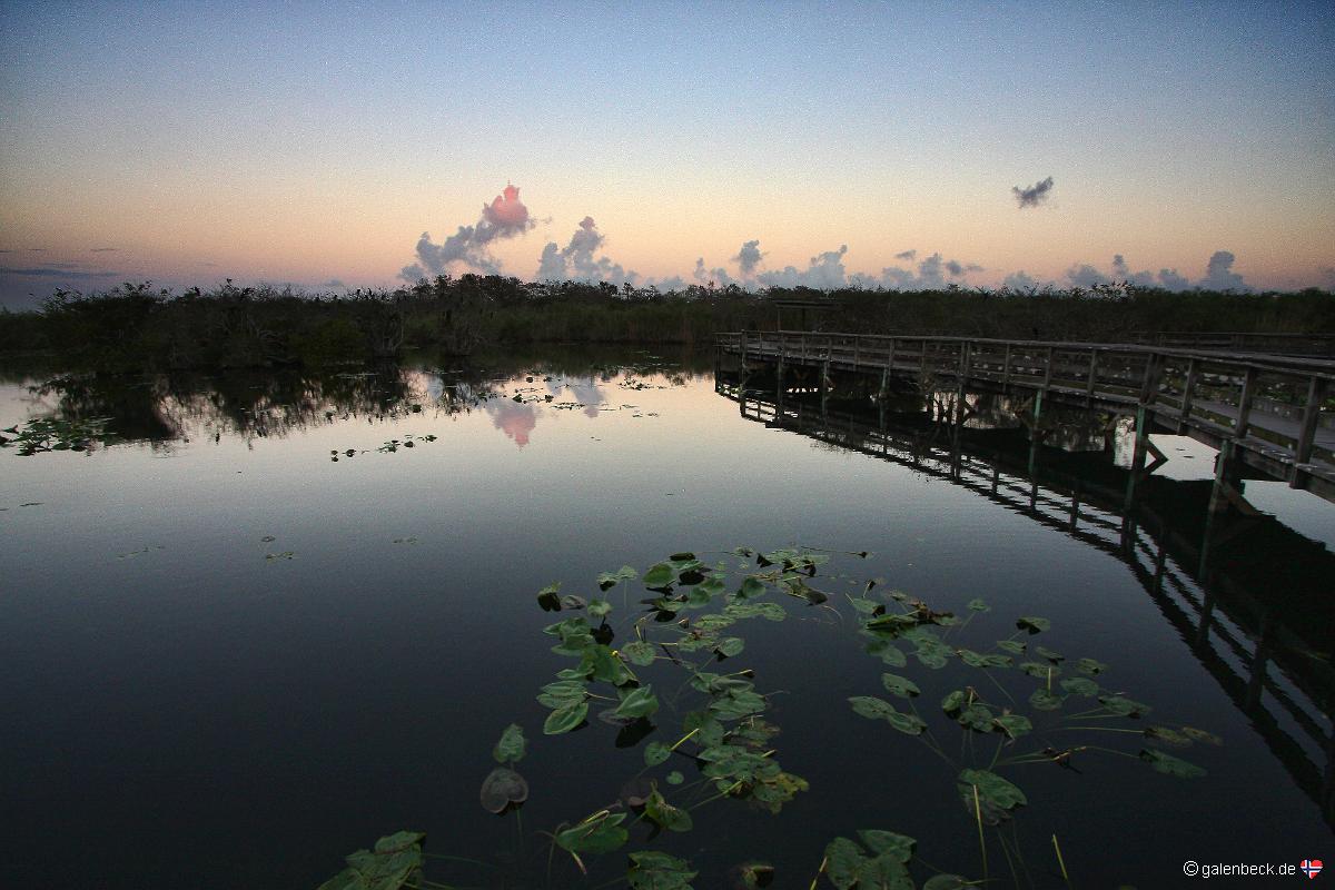 Anhinga Trail