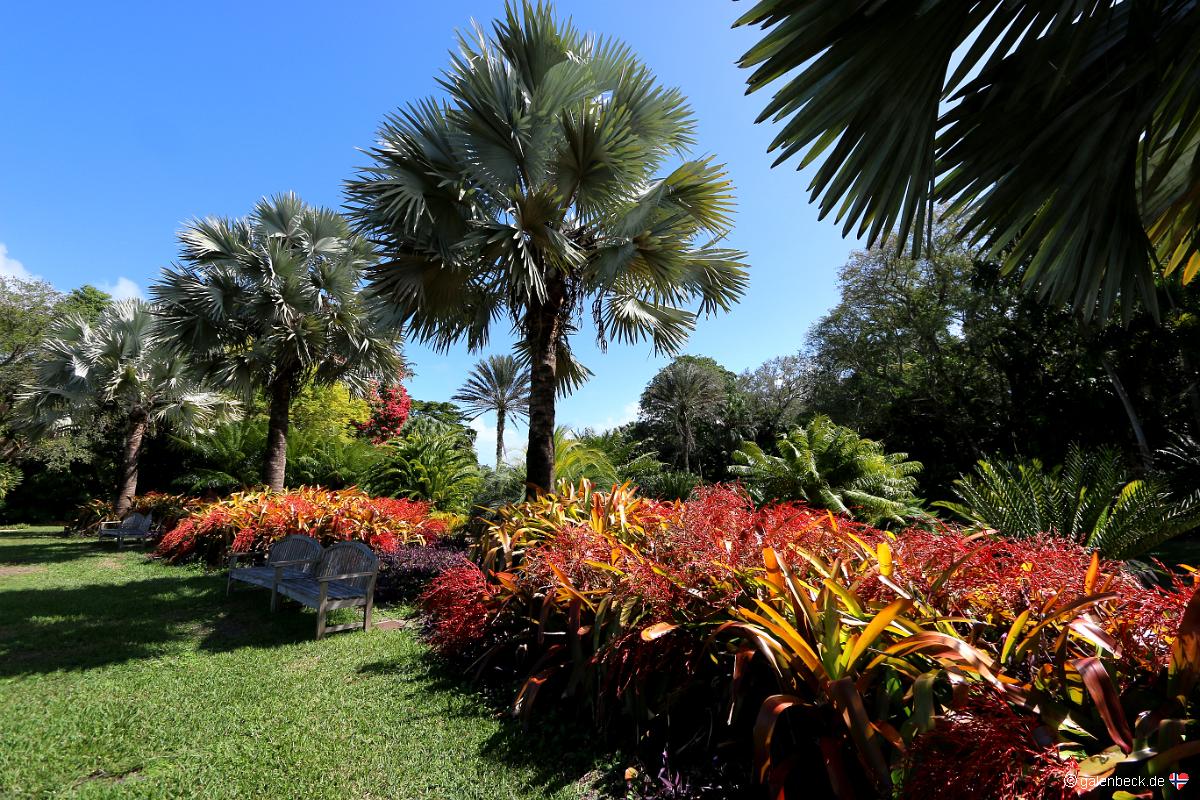 Fairchild Tropical Botanic Garden