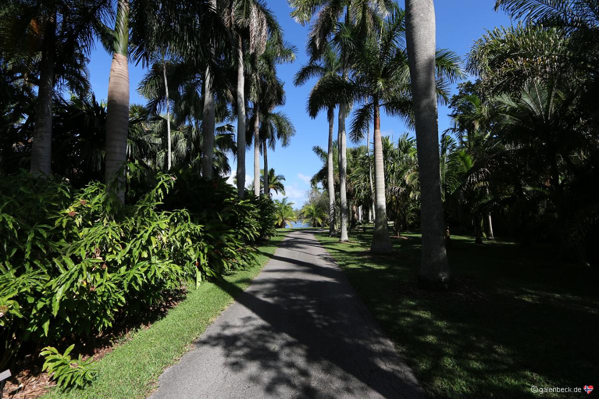 Fairchild Tropical Botanic Garden