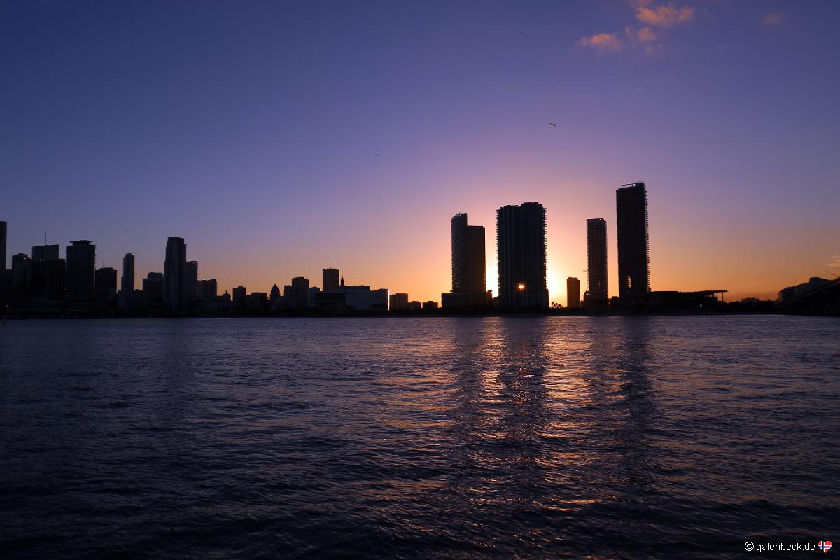 Miami Skyline, Watson Park