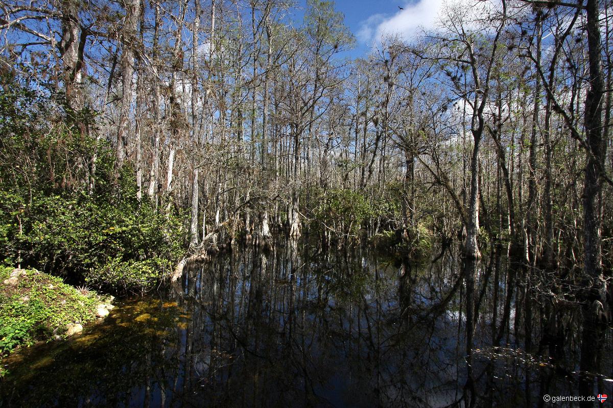 Loop Road, Big Cypress National Preserve