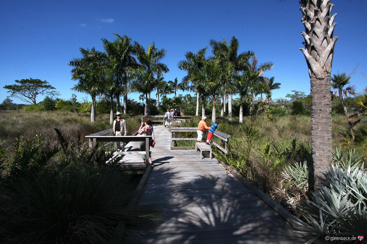 Naples Botanical Garden