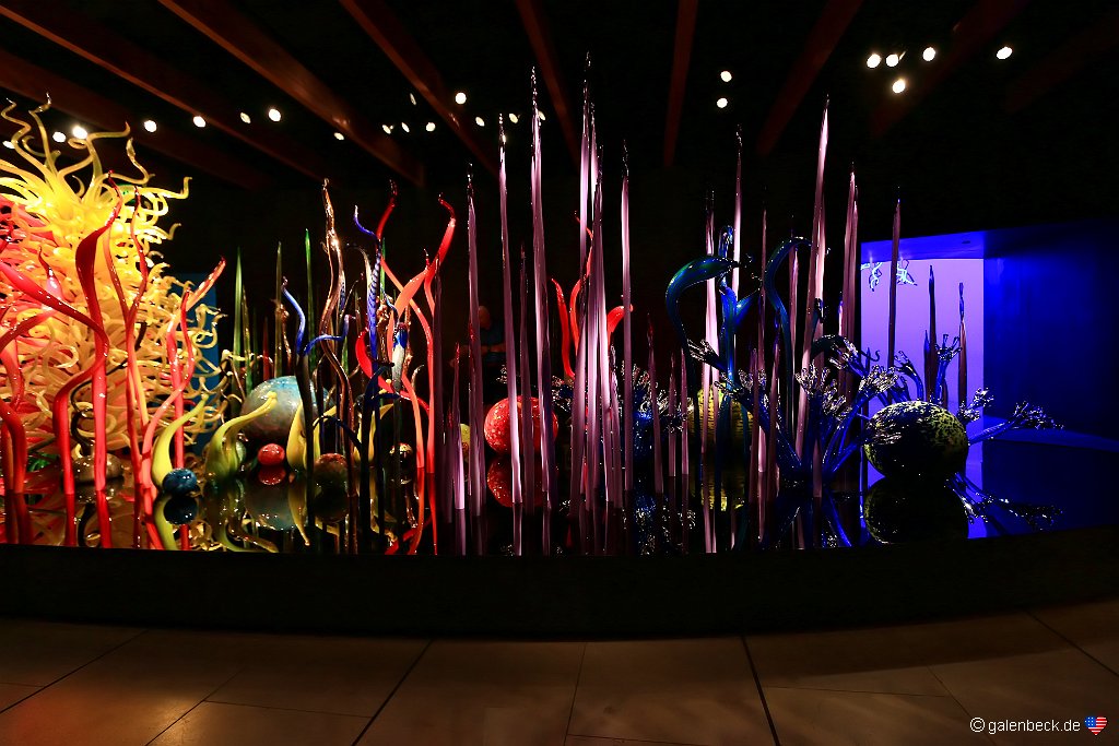 Chihuly Collection