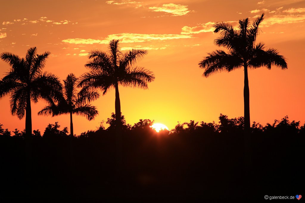 Florida City Sunset