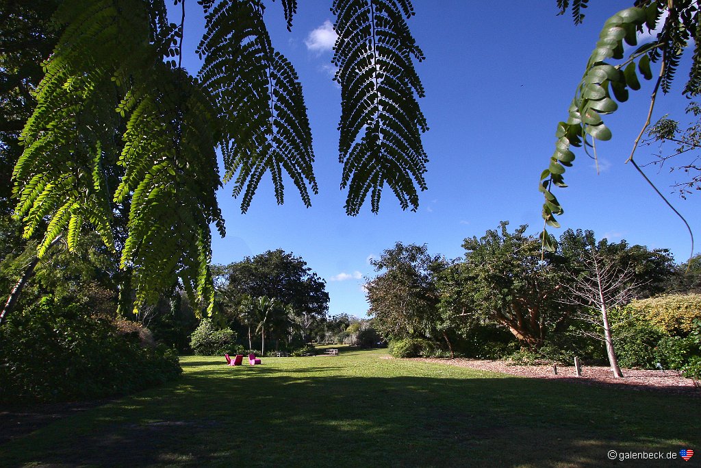 Fairchild Tropical Botanic Garden