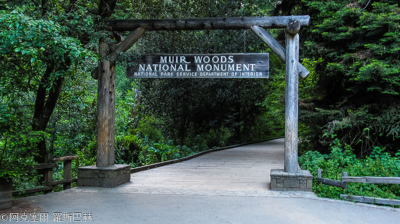 Muir Woods NM