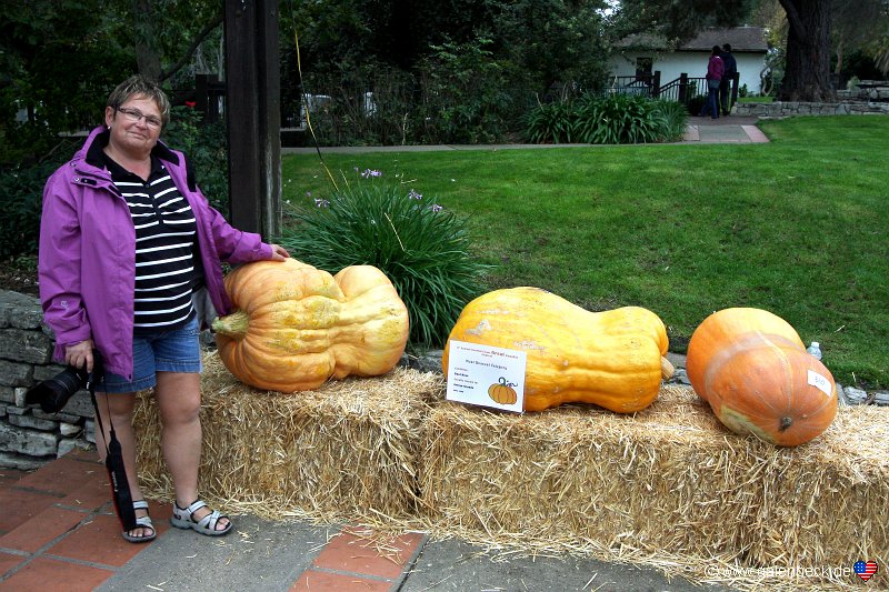 5th Annual Central Coast Great Pumpkin Contest