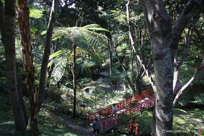 Tropischer Garten Monte Palace