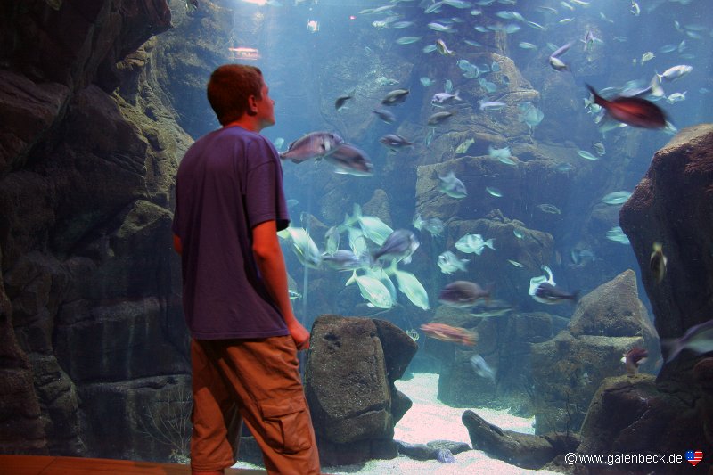 Aquarium Porto Moniz