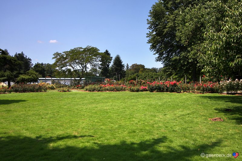 Owen Memorial Rose Garden