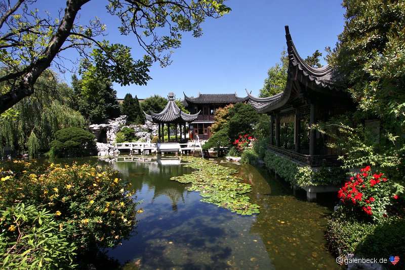 Lan Su Chinese Garden