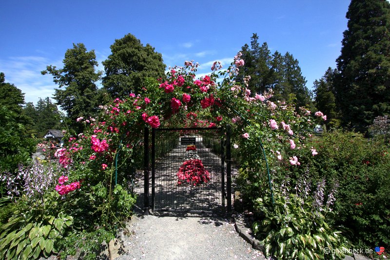Point Defiance Park Rose Garden