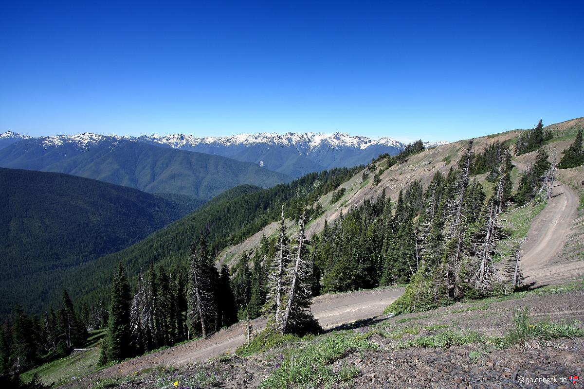 Hurricane Ridge, Olympic National Park