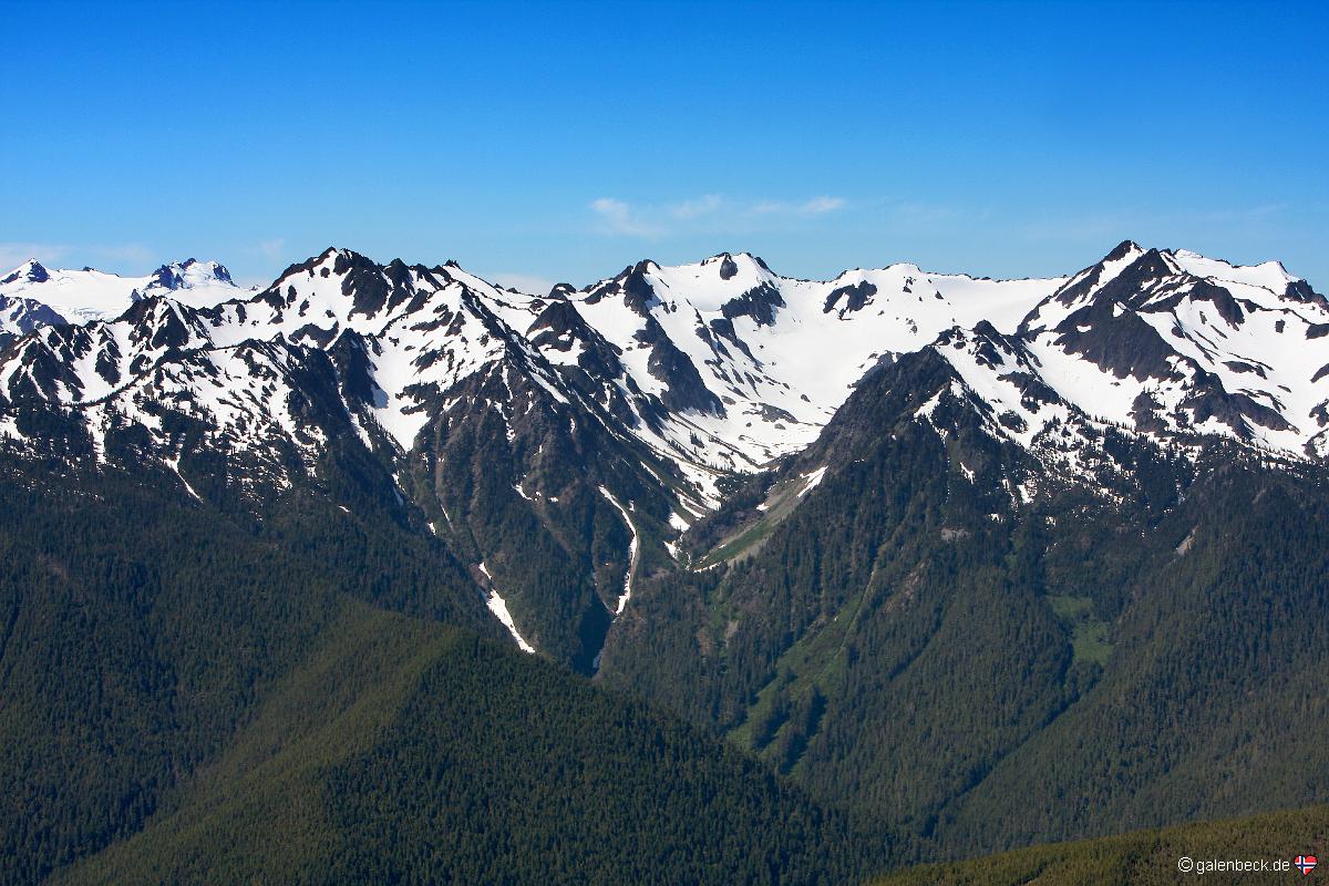 Hurricane Ridge, Olympic National Park