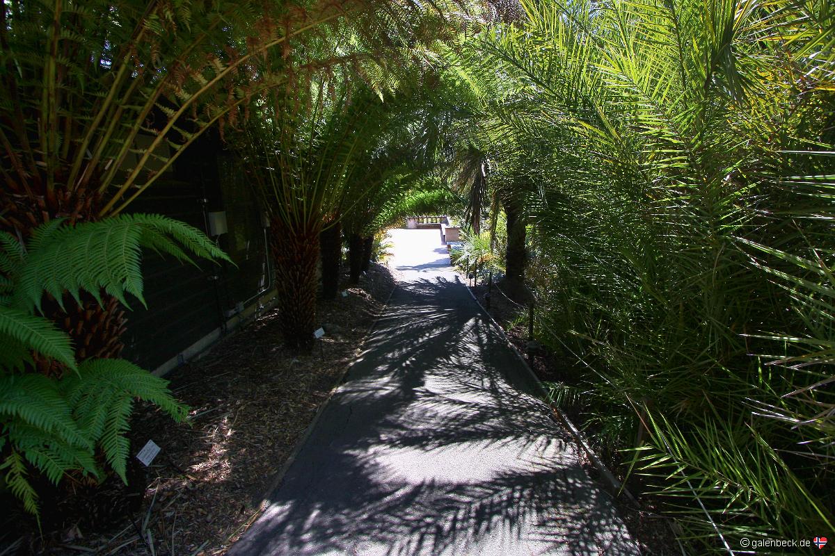 University of California Botanical Garden