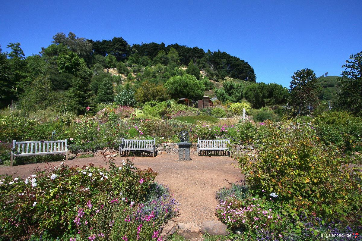 University of California Botanical Garden