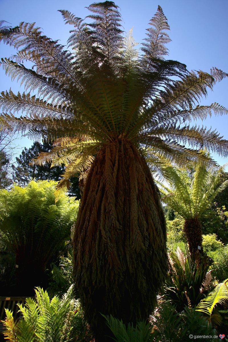 University of California Botanical Garden