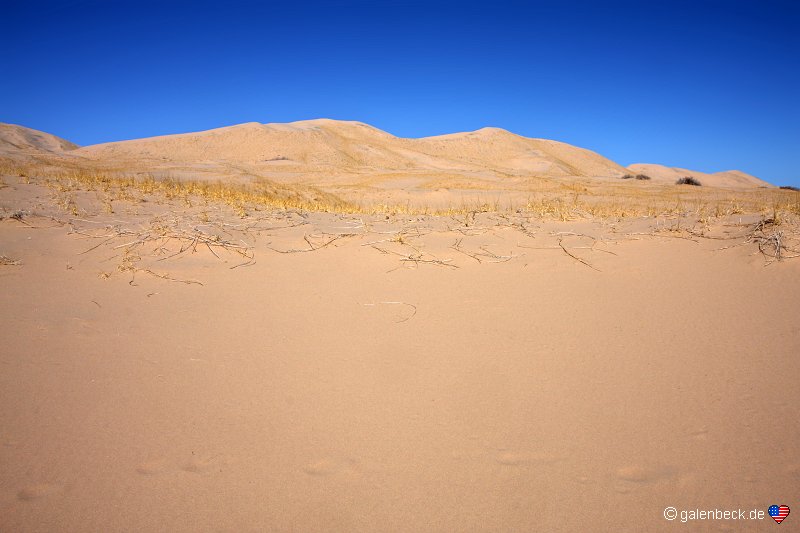 Kelso Dunes