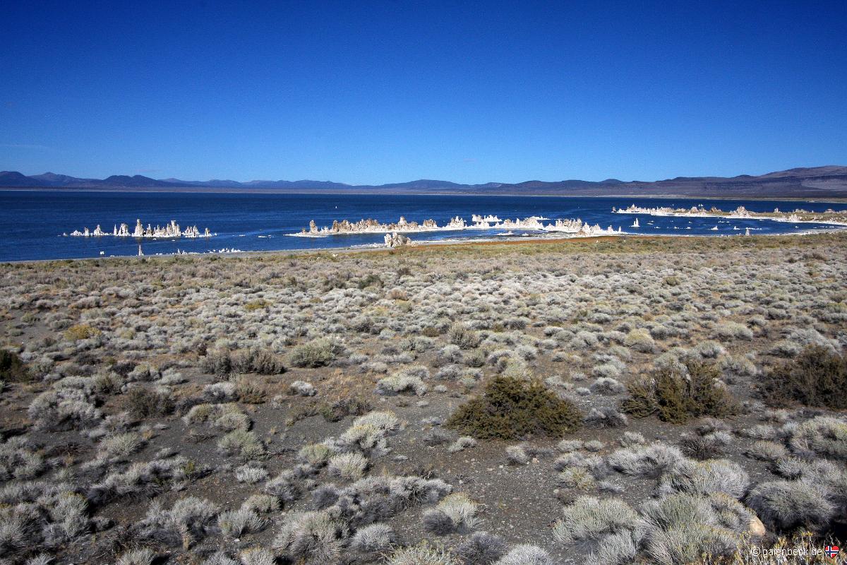 Mono Lake