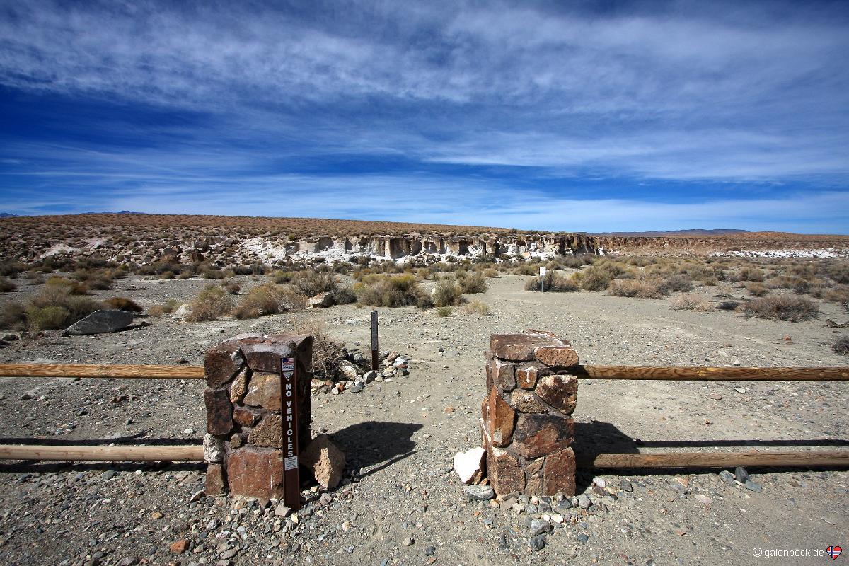 Chalfant Petroglyphs