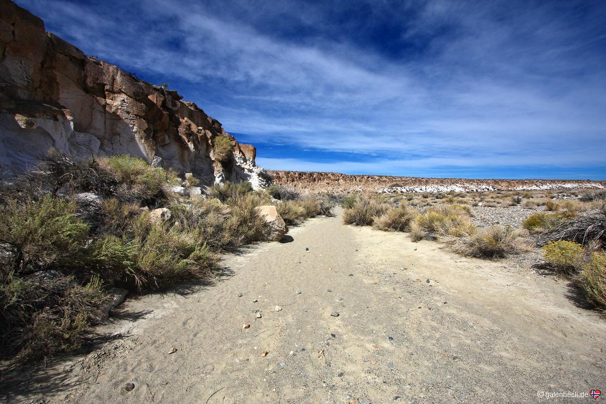 Chalfant Petroglyphs