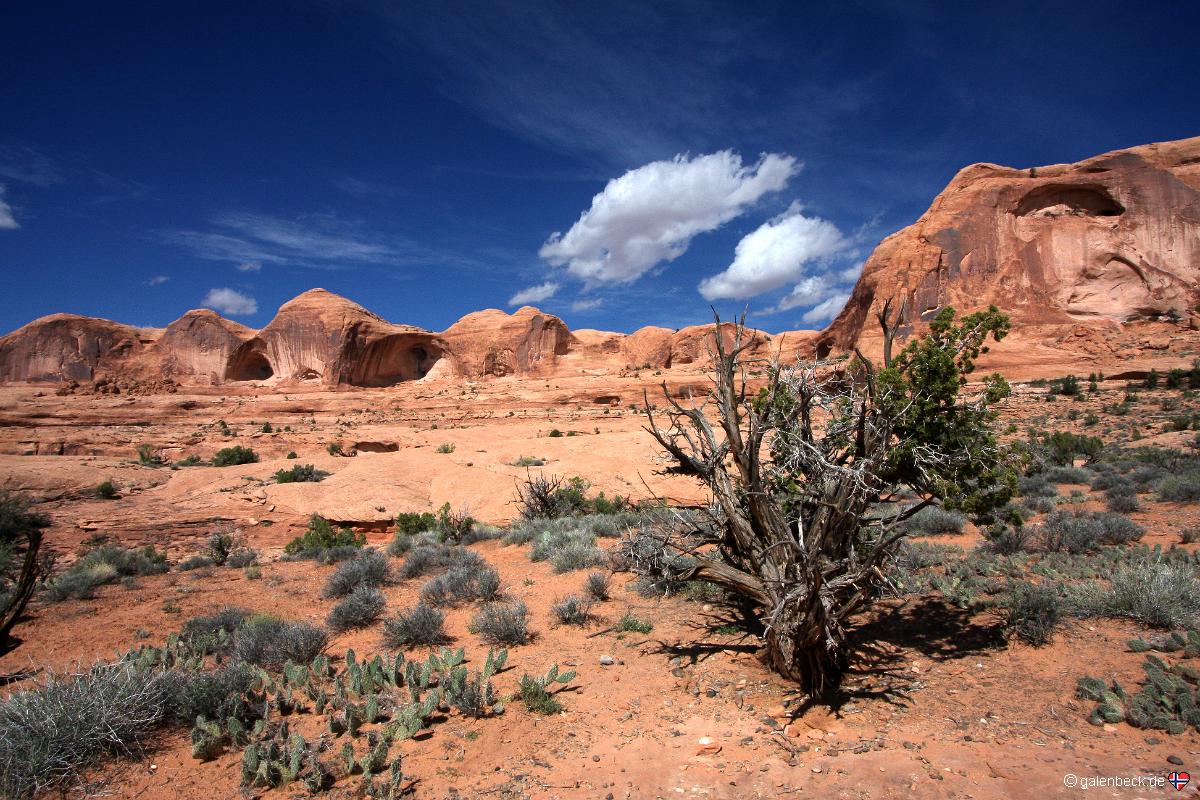 Corona Arch