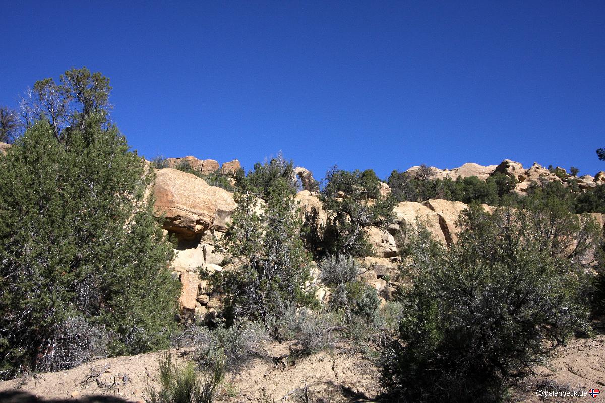 Cox Canyon Arch