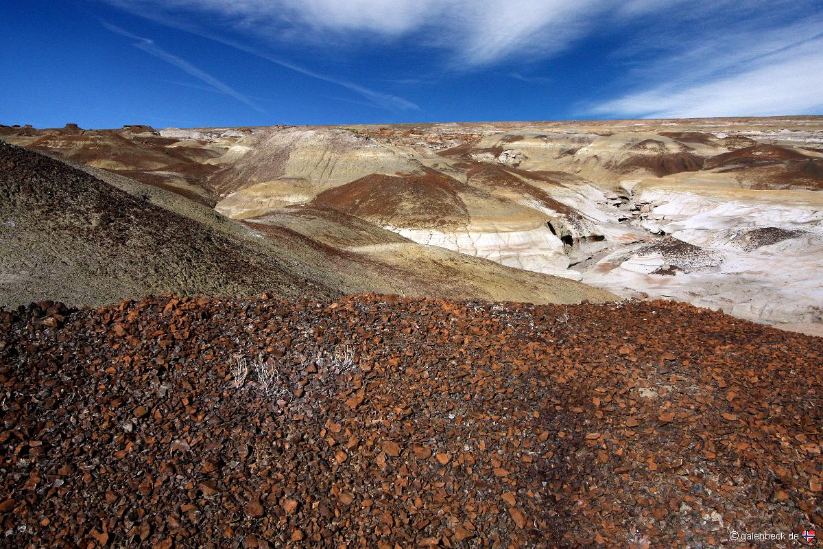 Bisti Badlands