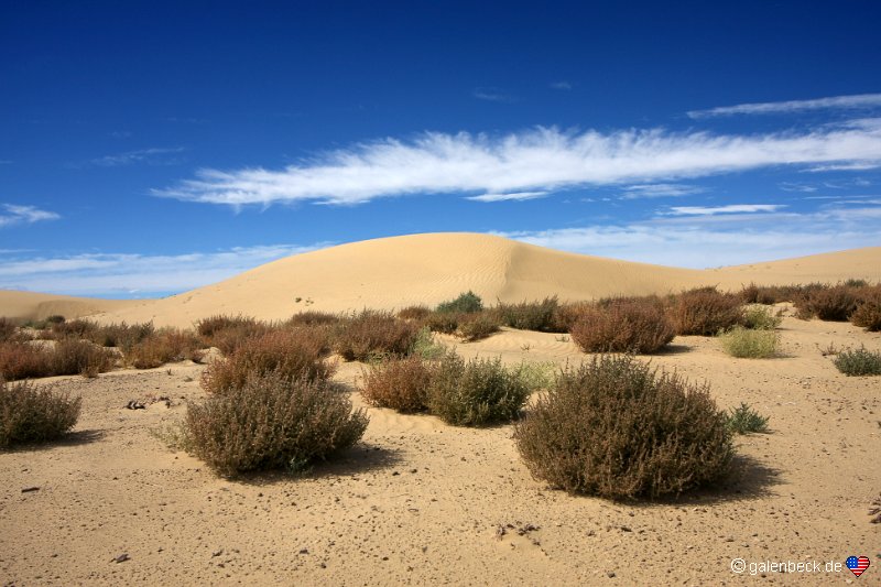 Chaco River Dunes