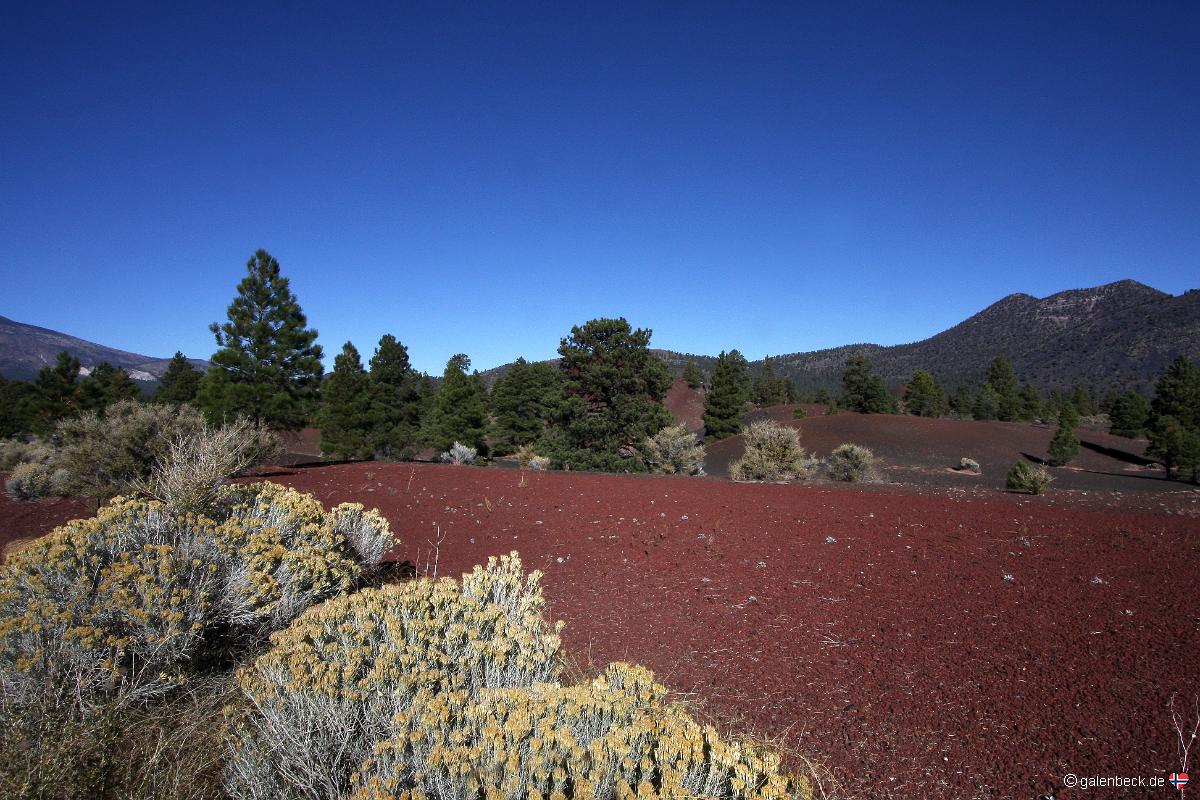 Sunset Crater Volcano National Monument