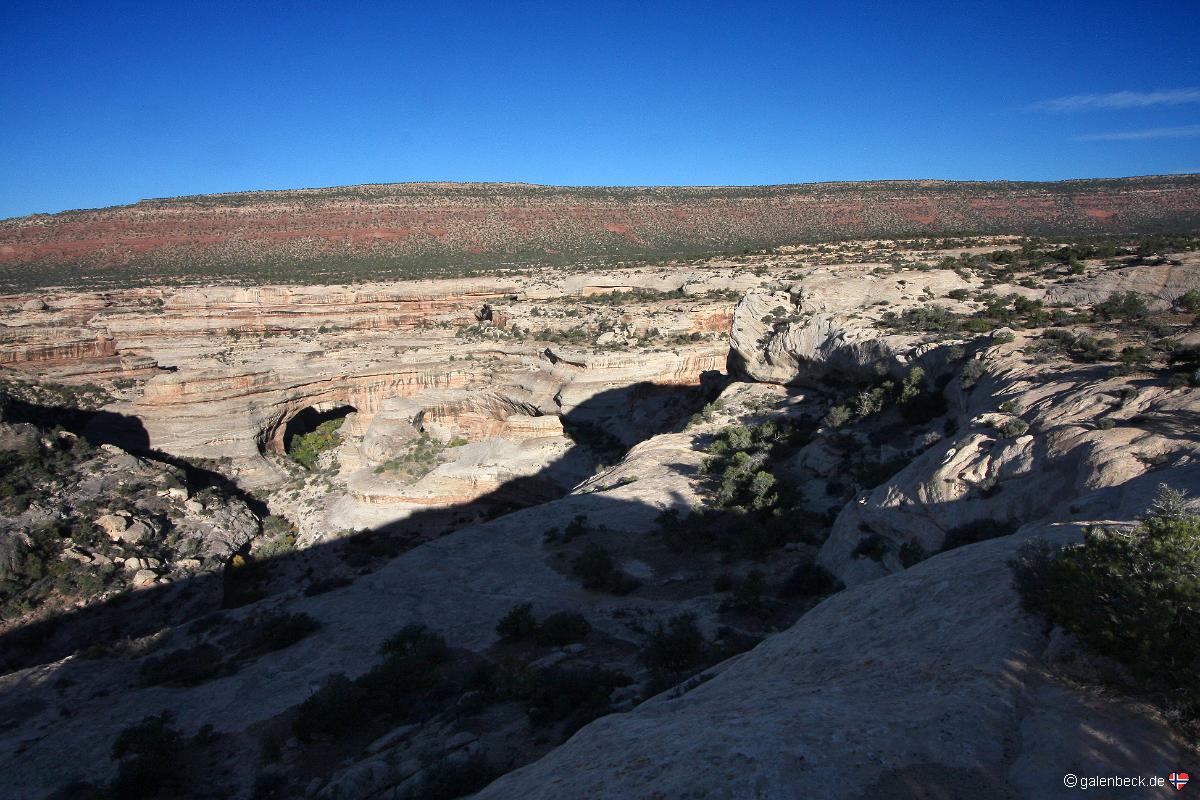 Natural Bridges National Monument