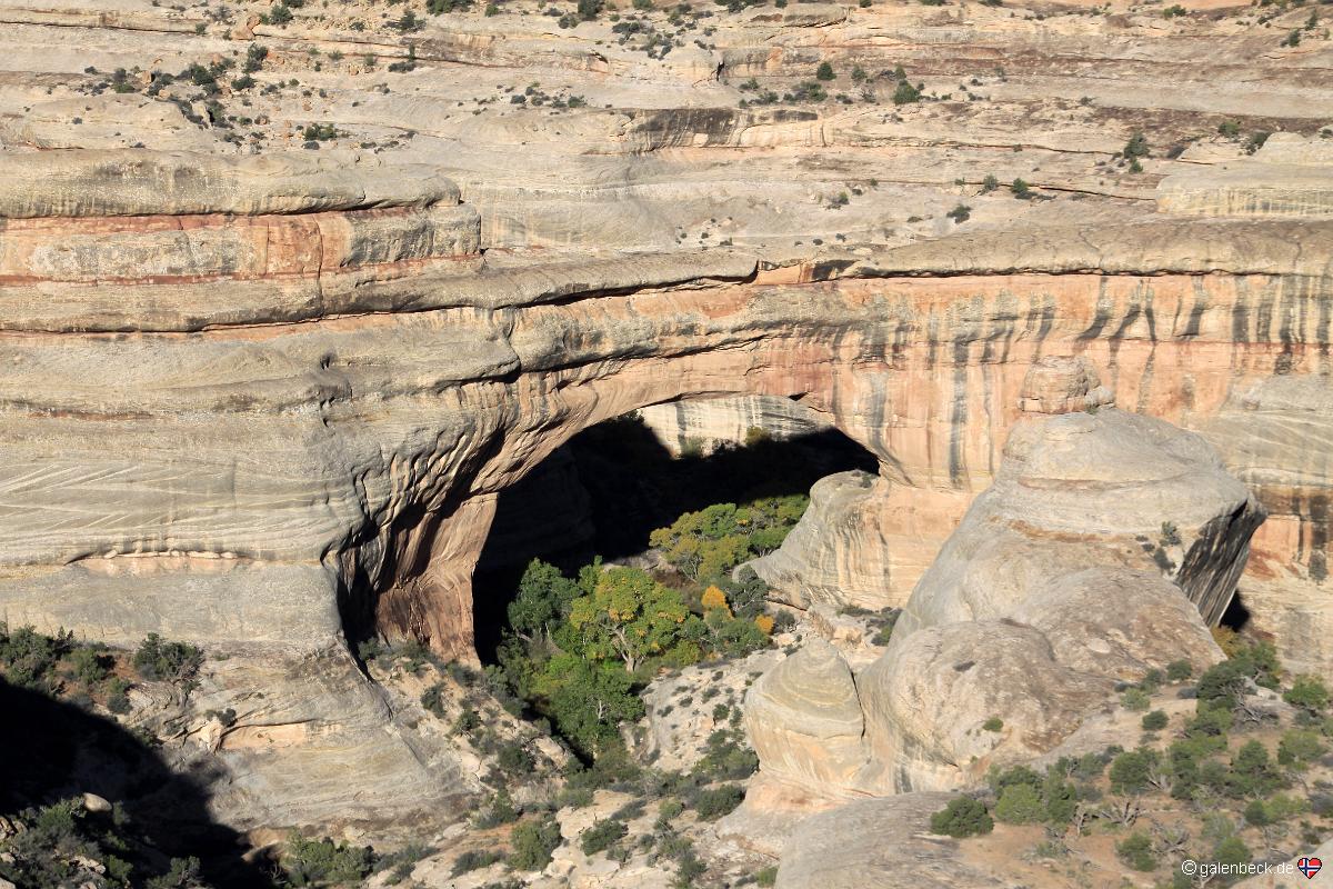 Natural Bridges National Monument