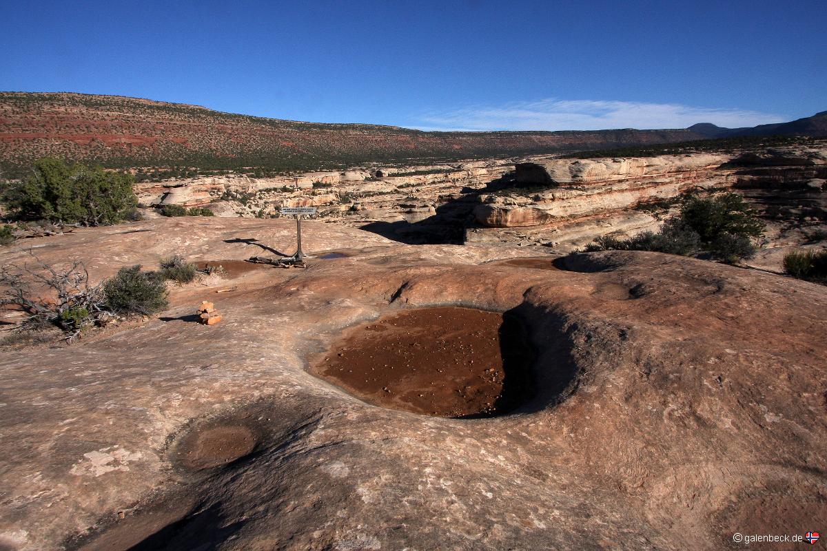 Natural Bridges National Monument