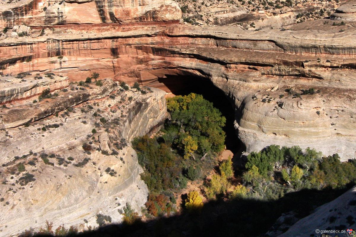 Natural Bridges National Monument