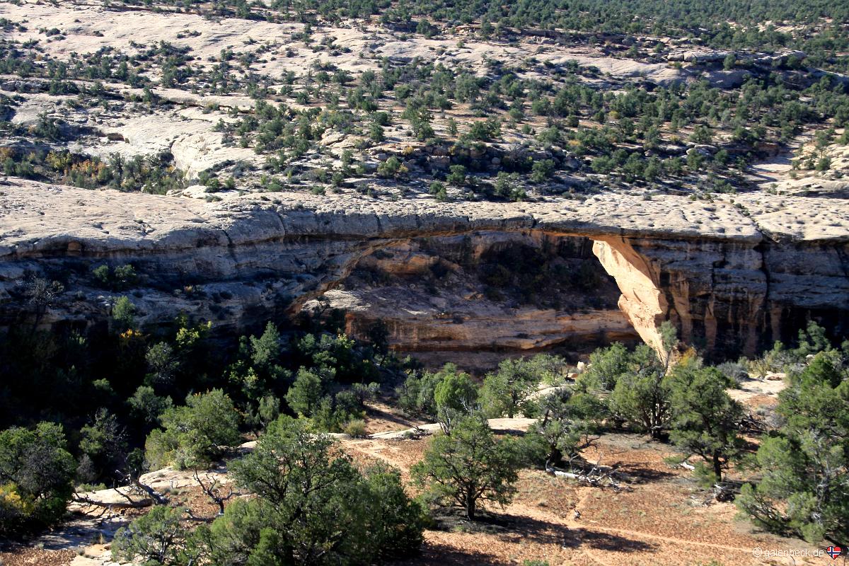 Natural Bridges National Monument