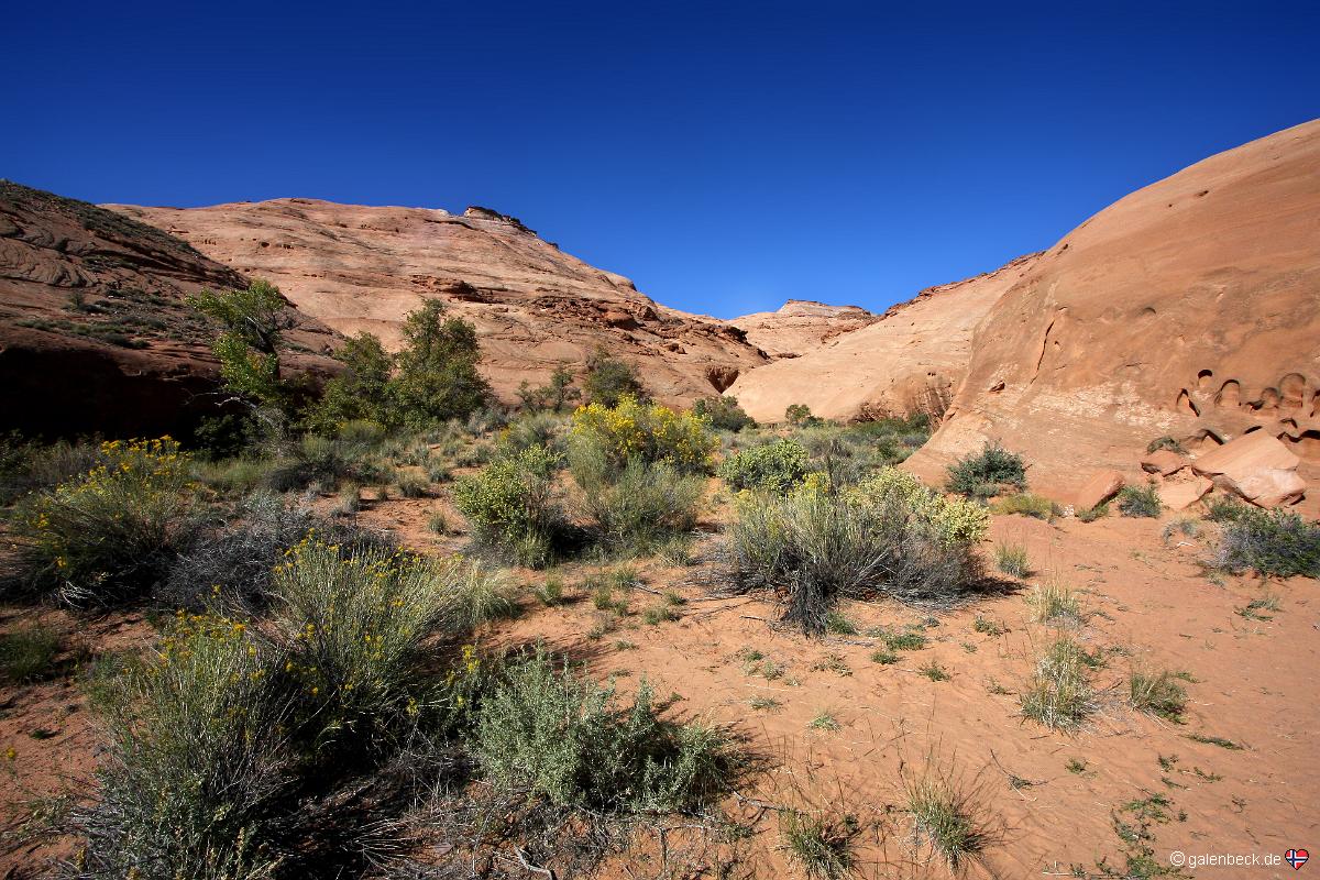 Leprechaun Canyon