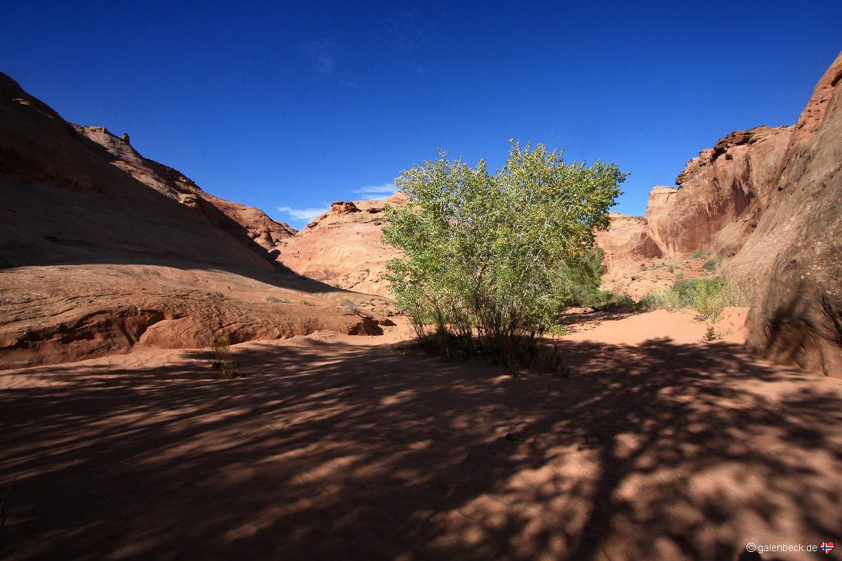 Leprechaun Canyon