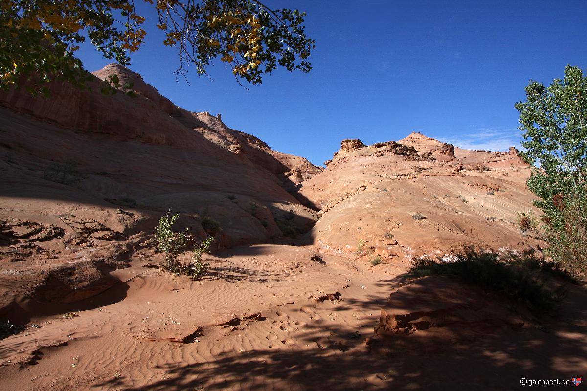 Leprechaun Canyon