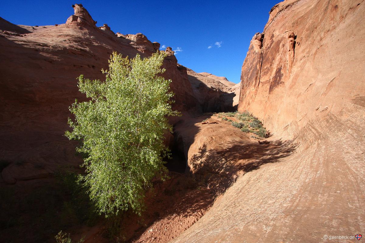 Leprechaun Canyon