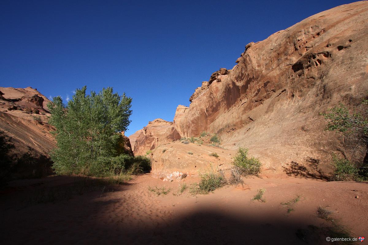 Leprechaun Canyon